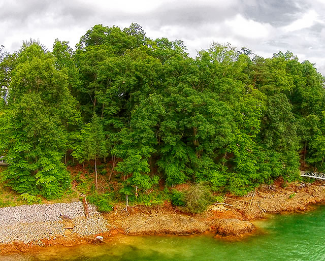 Windsor Pointe Lake Property for Sale on Norris Lake
